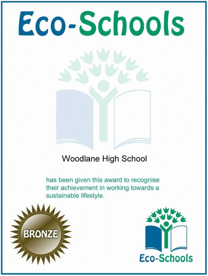 Bronze Award